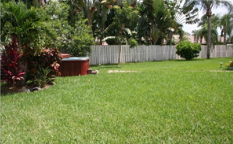 14641 Poplar Hill Ct. Davie FL 33325